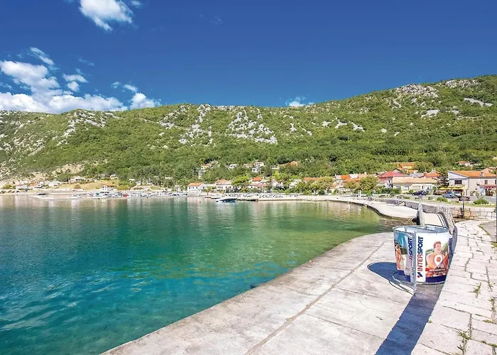 Appartamento Pet Friendly In